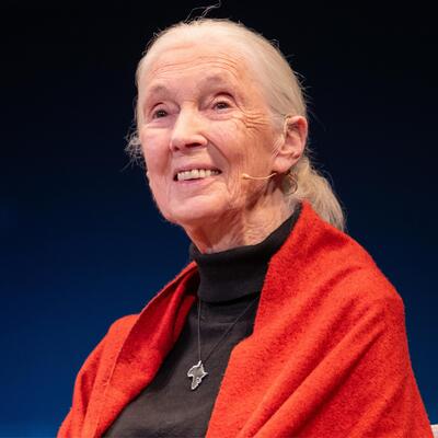 Jane Goodall