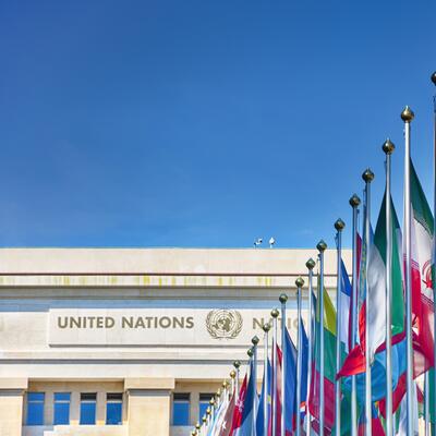 A bevy of flags line the walkway to the United Nations building